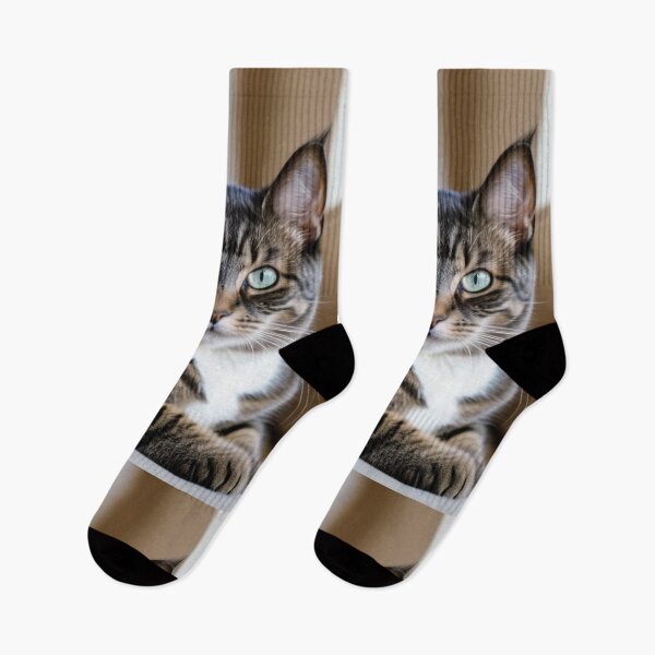 Item preview, Animals - Tabby Cat with Blue-Green Eyes, Expressive Feline Portrait designed and sold by DoodyPets.