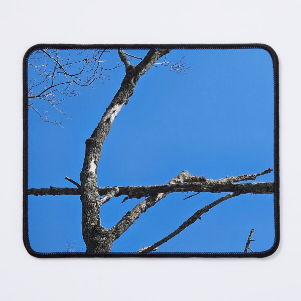 Item preview, Tree Holding a Tree Branch designed and sold by Quincy-Hedgehog.
