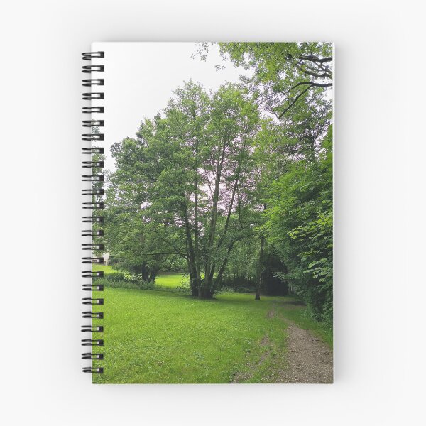 Artikelvorschau, Peaceful Green Park Landscape entworfen und verkauft von PhuongVoArt.
