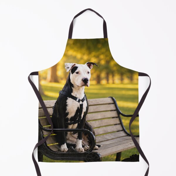 Item preview, Golden Hour Bench Buddy designed and sold by Kimberly Palmer.