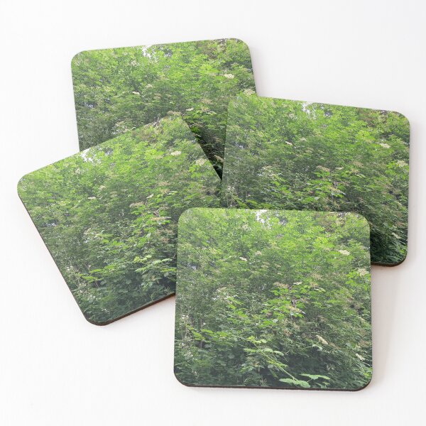 Item preview, Dense Green Garden Shrub designed and sold by PhuongVoArt.