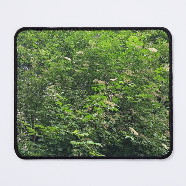 Item preview, Dense Green Garden Shrub designed and sold by PhuongVoArt.