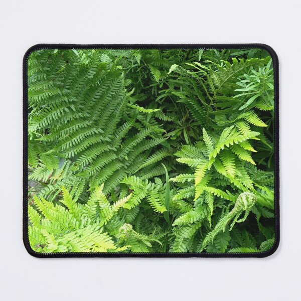 Item preview, Lush Green Fern Foliage designed and sold by PhuongVoArt.