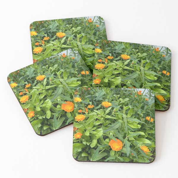 Artikelvorschau, Orange Garden Flowers In Bloom entworfen und verkauft von PhuongVoArt.