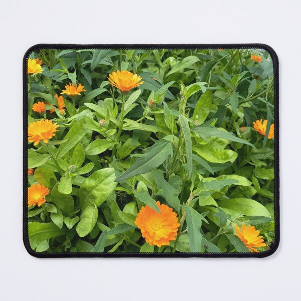 Item preview, Orange Garden Flowers In Bloom designed and sold by PhuongVoArt.