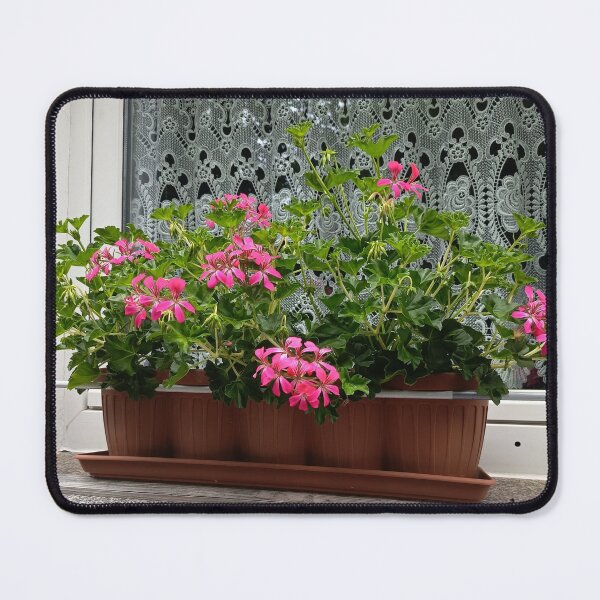 Item preview, Pink Flowers On Window Sill designed and sold by PhuongVoArt.