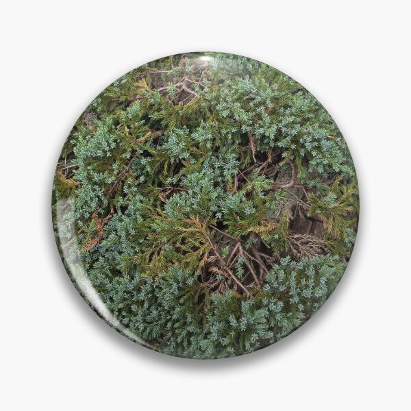Artikelvorschau, Green Groundcover Plant Texture entworfen und verkauft von PhuongVoArt.