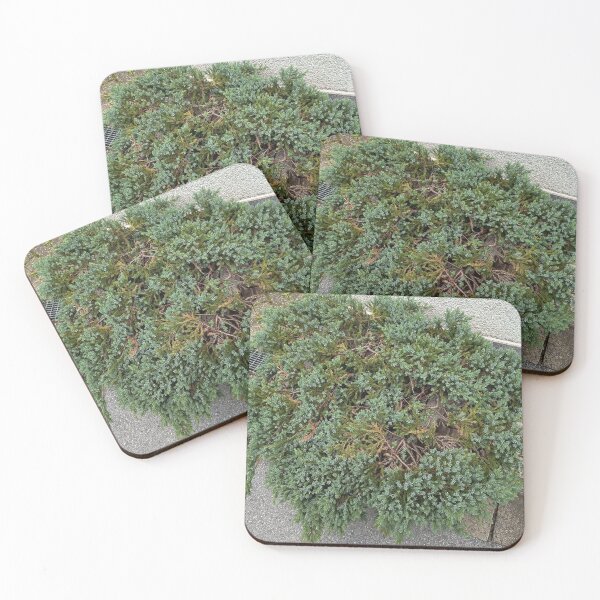Artikelvorschau, Green Groundcover Plant Texture entworfen und verkauft von PhuongVoArt.