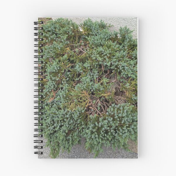 Artikelvorschau, Green Groundcover Plant Texture entworfen und verkauft von PhuongVoArt.