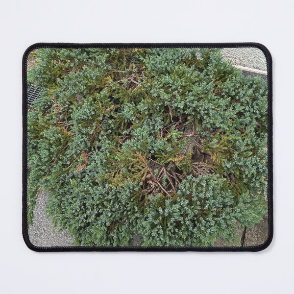 Item preview, Green Ground Cover Plant Texture designed and sold by PhuongVoArt.