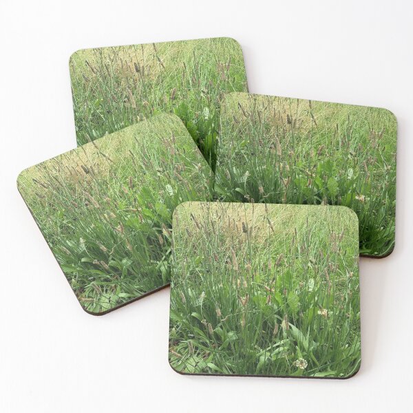 Item preview, Wild Grass Meadow Closeup designed and sold by PhuongVoArt.