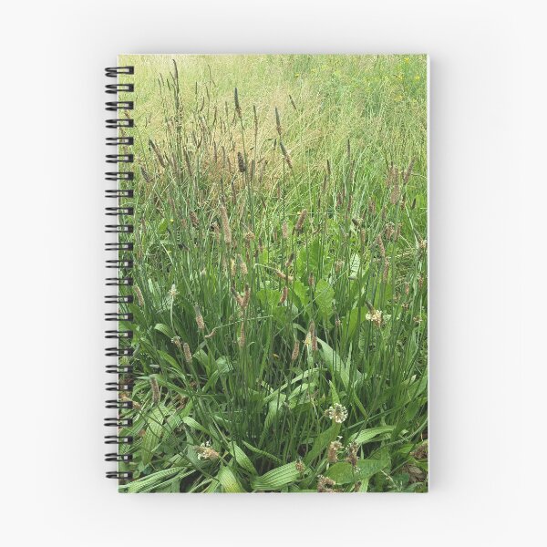 Item preview, Wild Grass Meadow Closeup designed and sold by PhuongVoArt.
