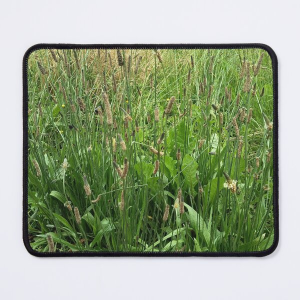 Item preview, Wild Grass Meadow Closeup designed and sold by PhuongVoArt.