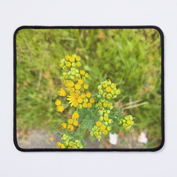 Item preview, Yellow Wildflower Bloom Closeup designed and sold by PhuongVoArt.