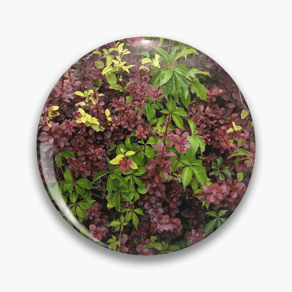 Artikelvorschau, Colorful Garden Shrub Foliage entworfen und verkauft von PhuongVoArt.