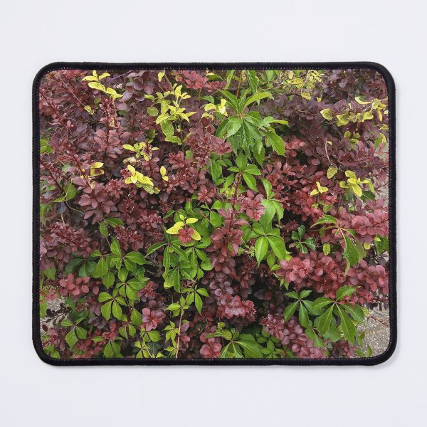 Item preview, Colorful Garden Shrub Foliage designed and sold by PhuongVoArt.