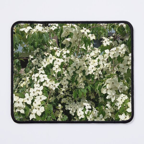 Item preview, White Blossom Flowering Shrub designed and sold by PhuongVoArt.
