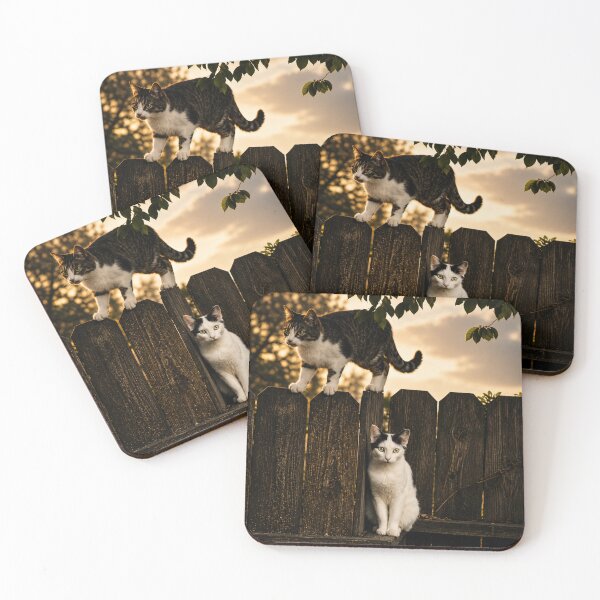 Item preview, Cats on the Fence designed and sold by Kimberly Palmer.