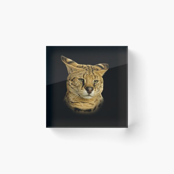 Item preview, Serval designed and sold by Guardi71.