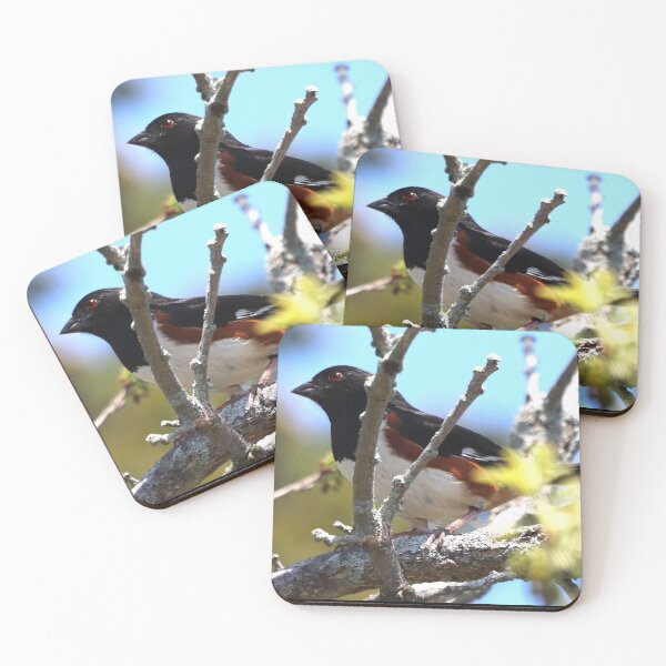 Item preview, Eastern Towhee designed and sold by Judy Geller.
