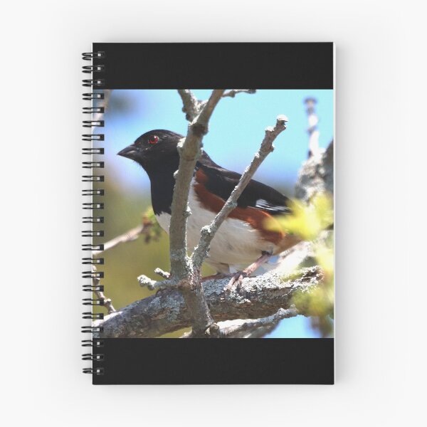 Item preview, Eastern Towhee designed and sold by Judy Geller.