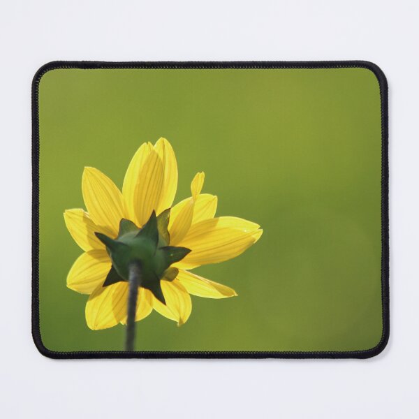 Item preview, Looking away designed and sold by Olivia Plasencia.