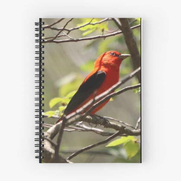 Item preview, Scarlet Tanager designed and sold by Judy Geller.