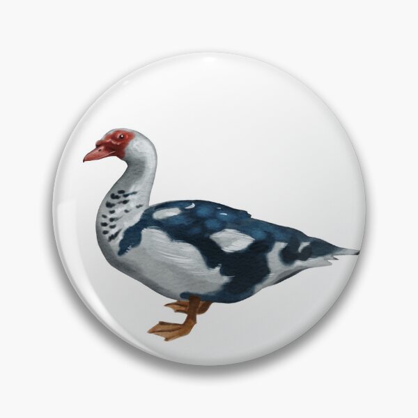 Item preview, Muscovy duck standing on a plain background with distinct colors and patterns designed and sold by Ms. Iryna.