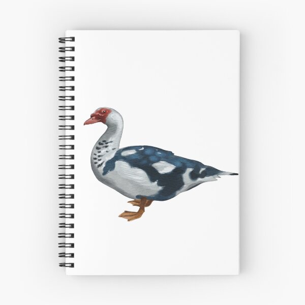 Item preview, Muscovy duck standing on a plain background with distinct colors and patterns designed and sold by Ms. Iryna.