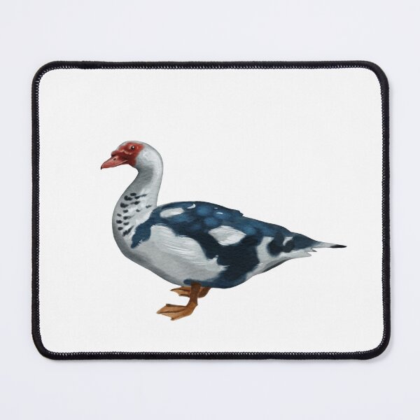 Item preview, Muscovy duck standing on a plain background with distinct colors and patterns designed and sold by Ms. Iryna.