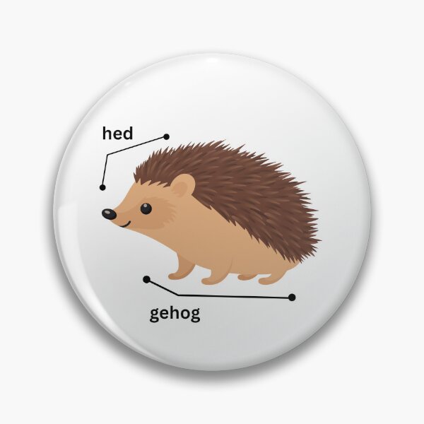 Item preview, Funny Hedgehog Anatomy Meme | Cute Hedgehog Sticker & T-Shirt  designed and sold by Olive Thread Co..