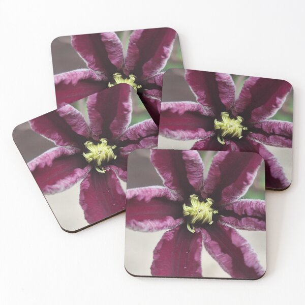 Item preview, Elegant Purple Pink Rose Clematis Bloom Catching Summer Sun designed and sold by vtspatial.