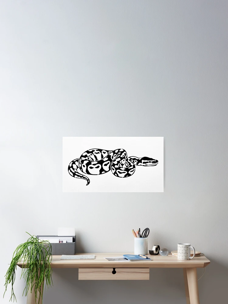 Thumbnail 2 of 3, Poster, Ball Python designed and sold by NatureNation.