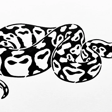 Artwork thumbnail, Ball Python by NatureNation