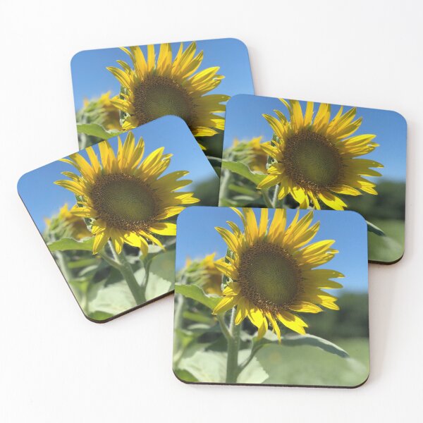 Item preview, Sunflower field, REAL photograph designed and sold by GiSilver.
