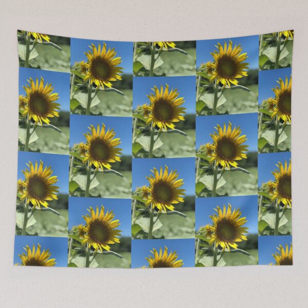 Item preview, Sunflower field, REAL photograph designed and sold by GiSilver.