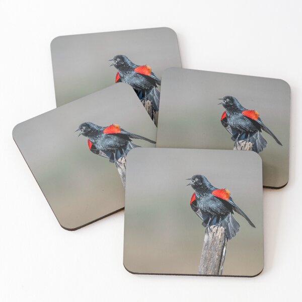 Item preview, Red-winged Blackbird Calling Across the Wetlands designed and sold by Debra Martz.