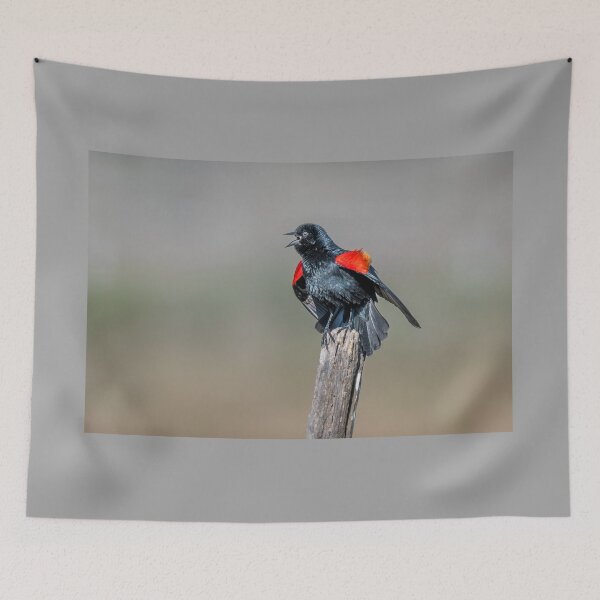 Item preview, Red-winged Blackbird Calling Across the Wetlands designed and sold by Debra Martz.