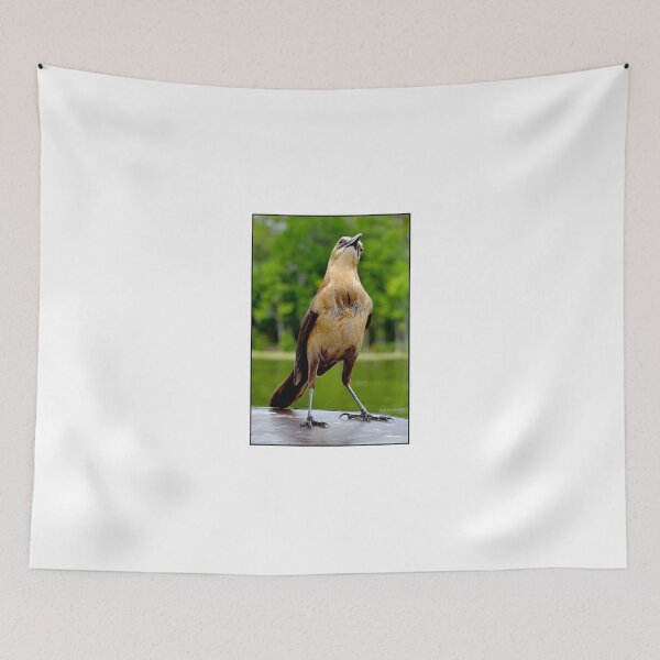 Item preview, Boat-tailed Grackle, Female, Quiscalus Major designed and sold by AMacGPhilly.
