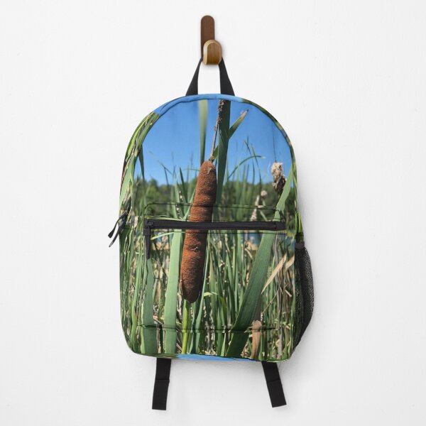 Item preview, Cattails, REAL photograph designed and sold by GiSilver.