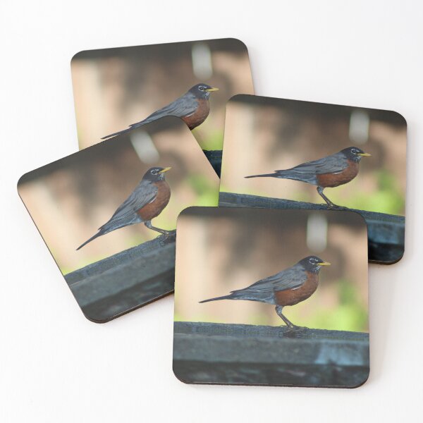 Item preview, American Robin in birdbath designed and sold by Nyx190Photos.
