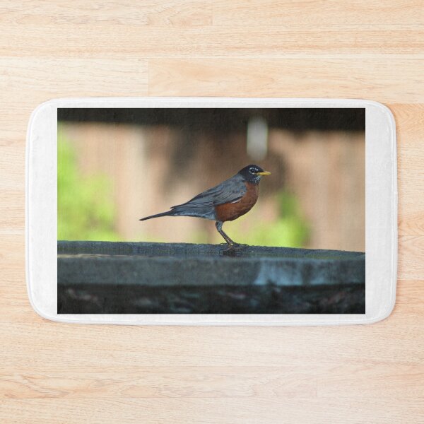 Item preview, American Robin in birdbath designed and sold by Nyx190Photos.