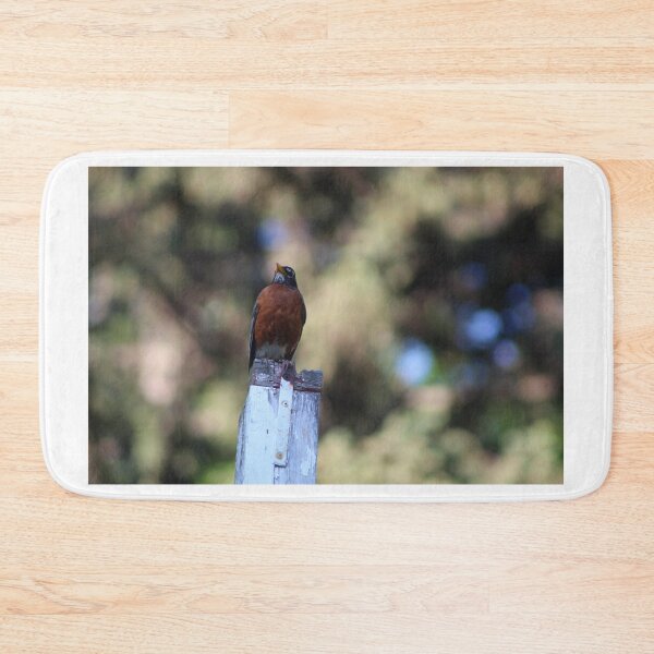 Item preview, American Robin on Post designed and sold by Nyx190Photos.