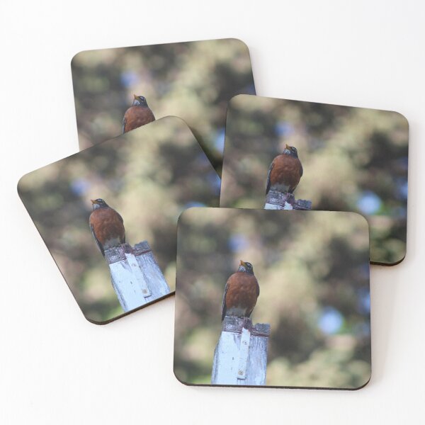 Item preview, American Robin on Post designed and sold by Nyx190Photos.