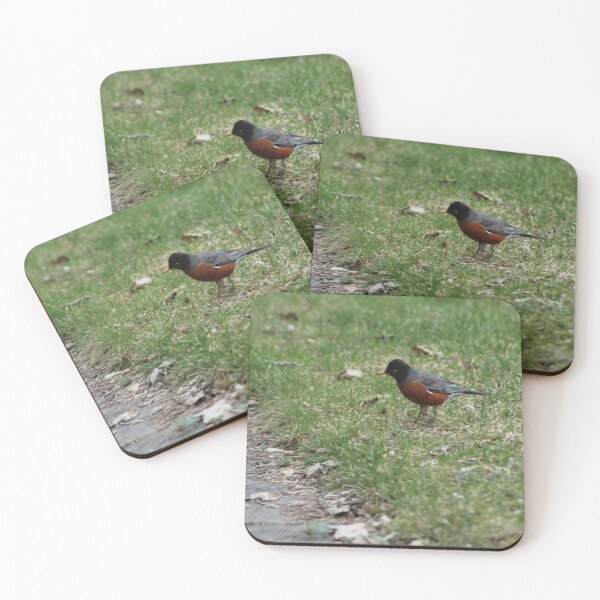 Item preview, American Robin in the Spring designed and sold by Nyx190Photos.