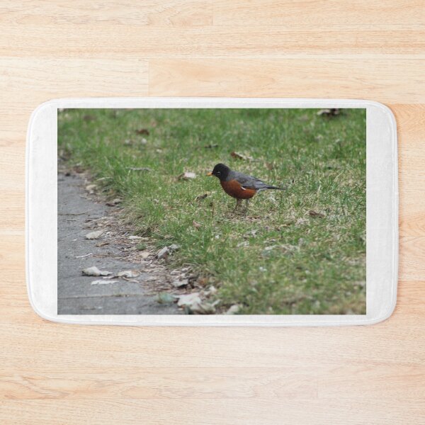 Item preview, American Robin in the Spring designed and sold by Nyx190Photos.