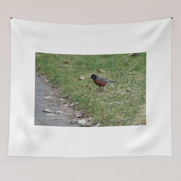 Item preview, American Robin in the Spring designed and sold by Nyx190Photos.