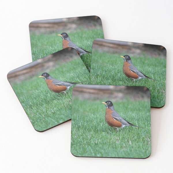 Item preview, American Robin Summer designed and sold by Nyx190Photos.