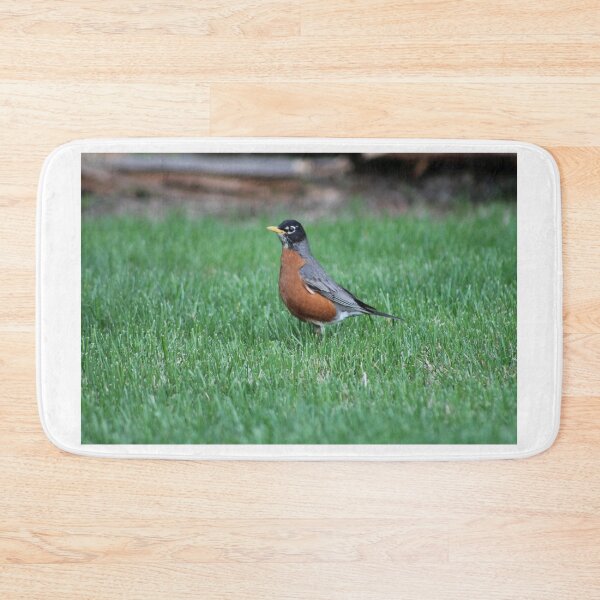 Item preview, American Robin Summer designed and sold by Nyx190Photos.