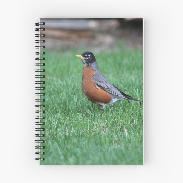 Item preview, American Robin Summer designed and sold by Nyx190Photos.